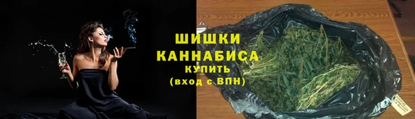 СК Гусев