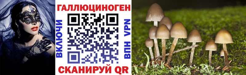 Галлюциногенные грибы Cubensis  наркошоп  Суздаль 